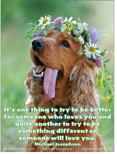 Post image for WORTH SEEING: Poster – It’s one thing to try to be better for someone who loves you and quite another to try to be something different so someone will love you.  — Michael Josephson