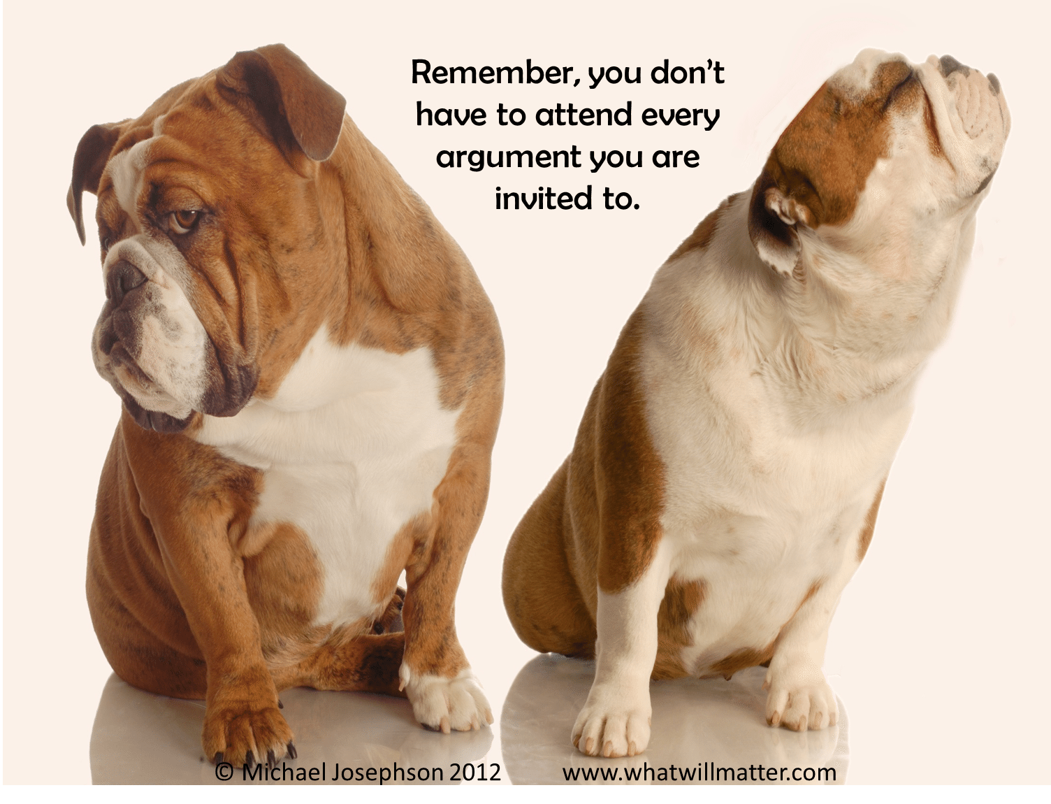 QUOTE Remember You Don t Have To Attend Every Argument You Are 