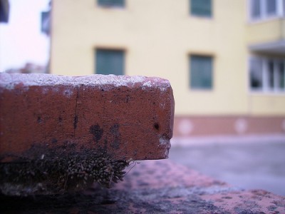 Post image for COMMENTARY 841.2: Not Everyone in Need Has a Brick