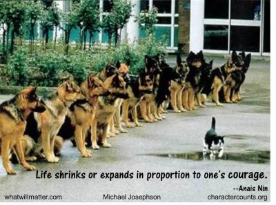 Post image for QUOTE & POSTER: Life shrinks or expands in proportion to one’s courage. –Anais Nin