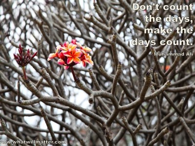Post image for QUOTE & POSTER: Don’t count the days, make the days count. ― Muhammad Ali
