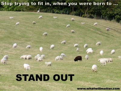 Post image for QUOTE & POSTER: Stop trying to fit in, when you were born to STAND OUT
