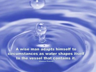 Quote Poster A Wise Man Adapts Himself To Circumstances As Water Shapes Itself To The Vessel That Contains It Chinese Proverb What Will Matter