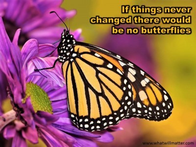 QUOTE & POSTER: If things never changed there would be no butterflies ...
