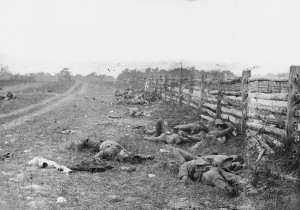 Antietam, Md. Confederate dead by a fence on the Hagerstown road. Photograph from the main eastern theater of the war, Battle of Antietam, September-October 1862.