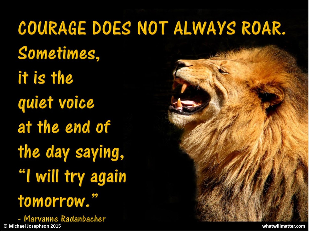 COURAGE DOES NOT ALWAYS ROAR. | What Will Matter